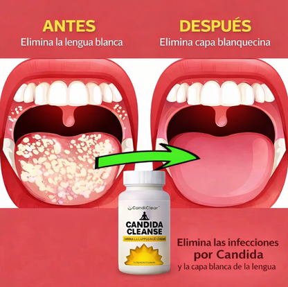 SI TU BARRIGA SE INFLAMA TODOS LOS DÍAS… ESTO NO ES NORMAL