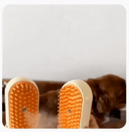 ¿Tu casa siempre llena de pelos y tu mascota se estresa al cepillarla?